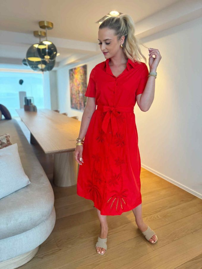 Robes palmbomen.