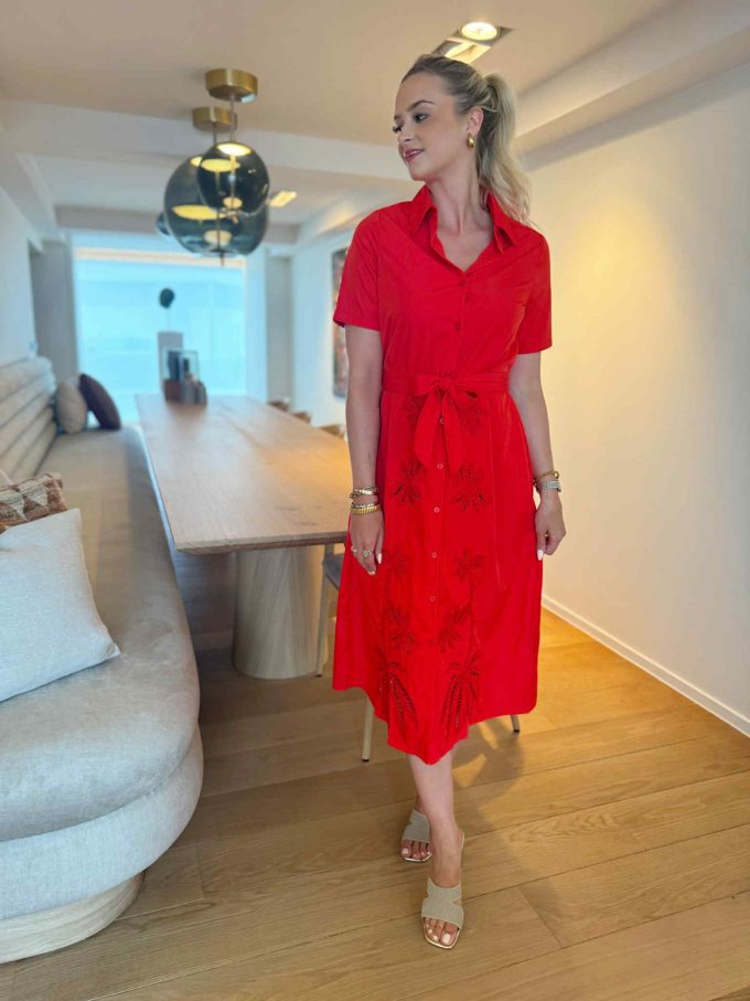 Robes palmbomen.
