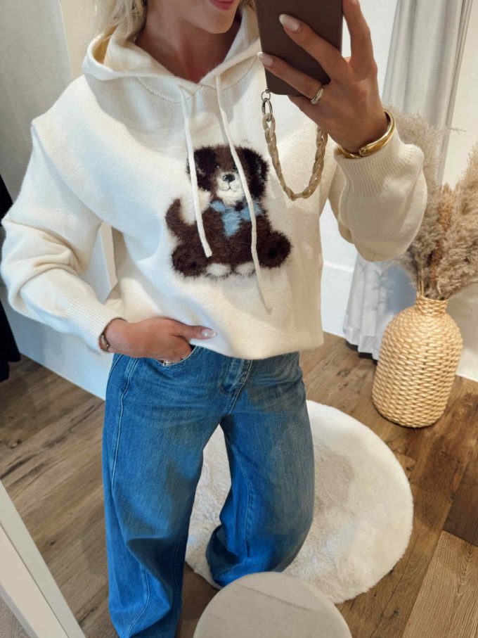Pull met kap en hondje.